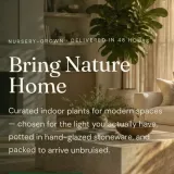 Botanica Bloom — Premium Indoor Plants React Template
