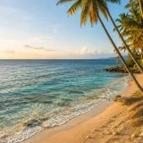 Tropical Ocean Escape Wallpaper