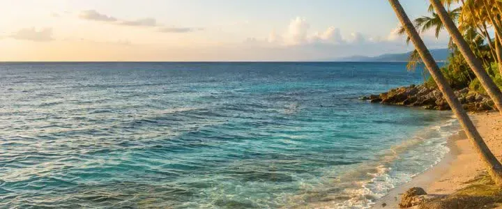 Tropical Ocean Escape Wallpaper